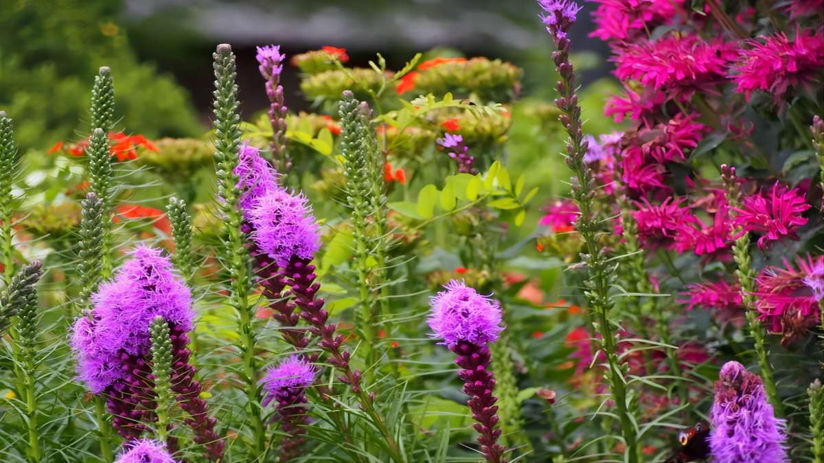 Gardening Guide: Integrating Native Plants into Landscapes for Ecological Benefits